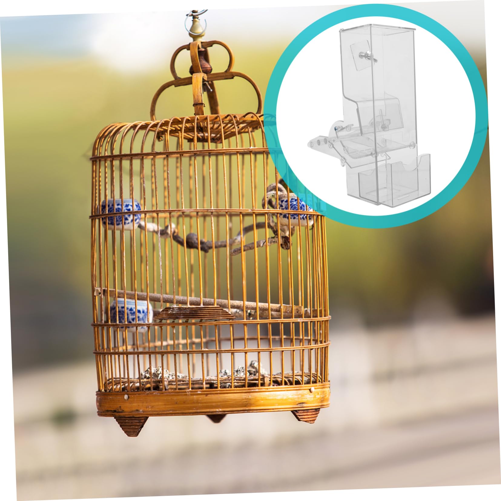 Mangiatoia per Uccelli Trasparente Automatica Antigoccia per Pappagalli e Parrocchetti Contenitore per Cibo per Animali Domestici Forniture per Uccelli