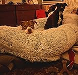 Review Image by James P. James P.