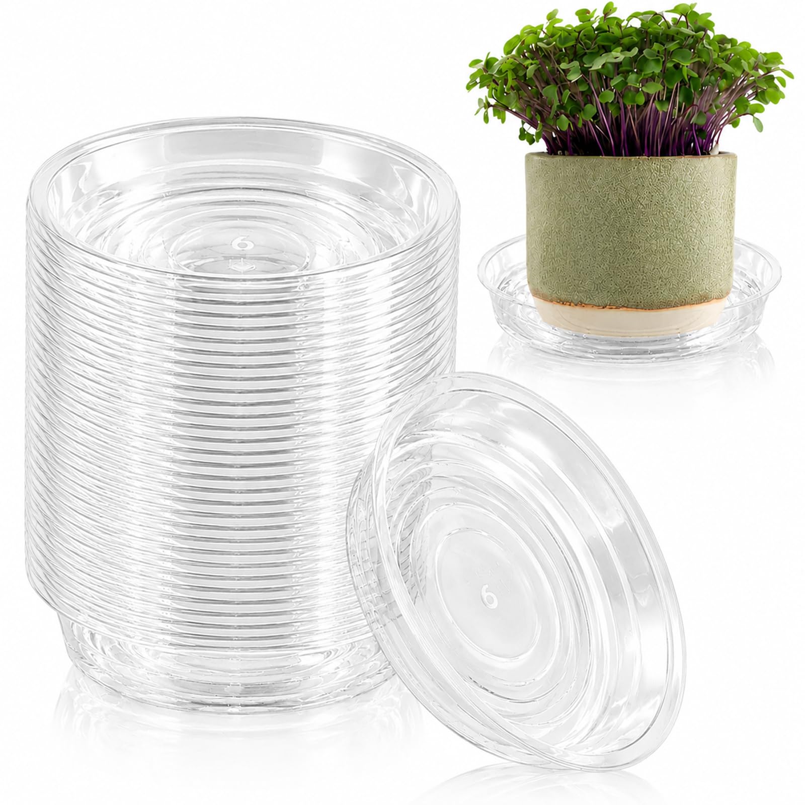 Plant Saucers - 20 Pack for Drainage -25 Plant Saucers - 20 Pack for Drainage -25