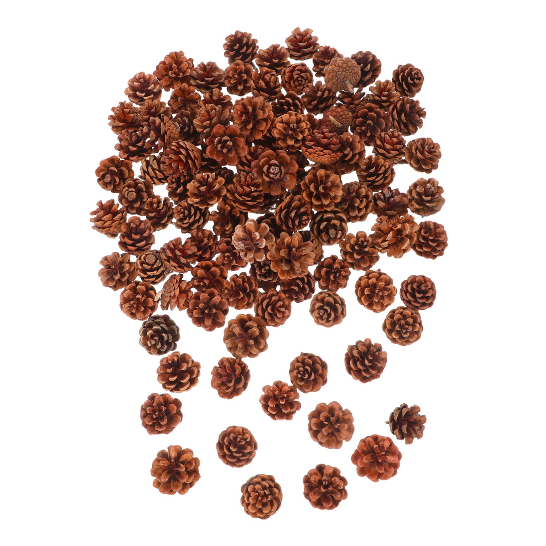 Lot de petites pommes de pin naturelles pour garnir vos coffrets cadeaux et calendriers de l'Avent
