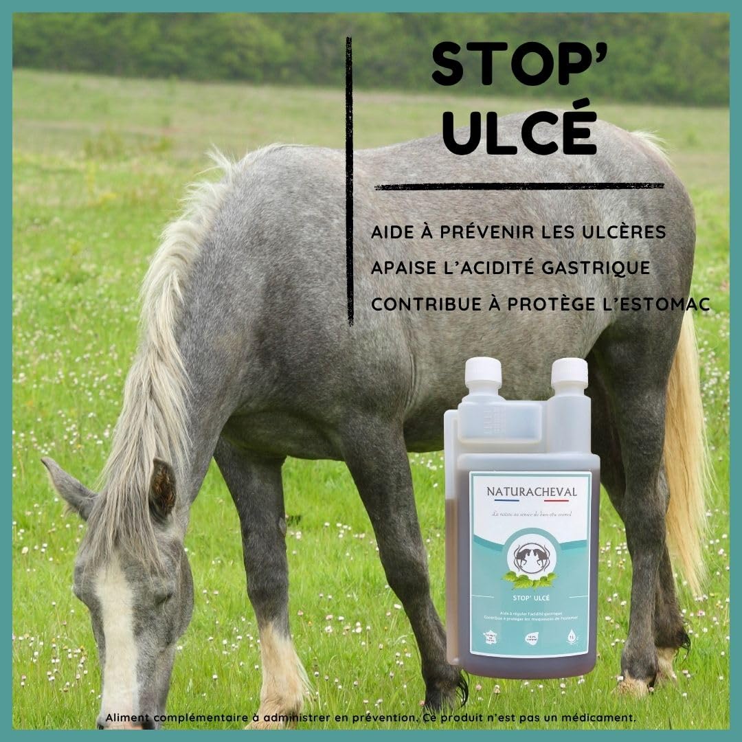 Ulcère Cheval & estomac – Complément Naturel Anti acidité gastrique – Protège muqueuses & apaise douleurs – Digestion Sensible – Formule Plantes