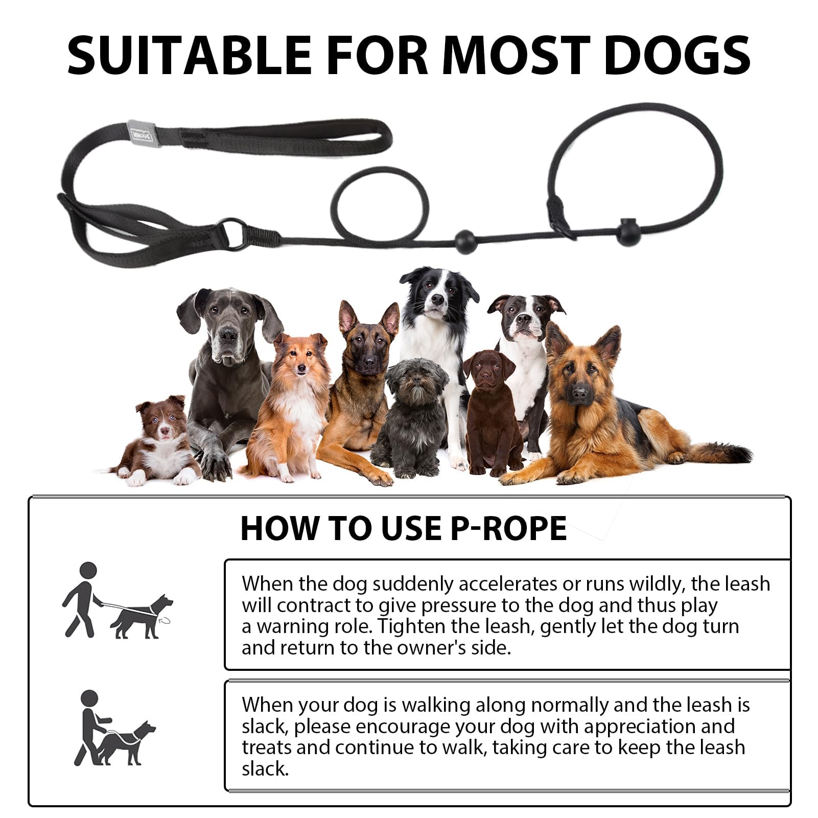 Retrieverleine Für Hunde – 1,5 M, Anti-Zieh, Mit Verstellbarem Halsband, Für Kleine Bis Große Hunde