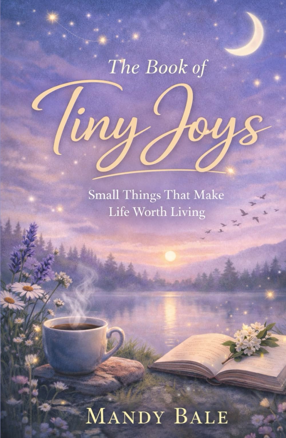 The Book of Tiny Joys: Small Things That Make Life Worth Living