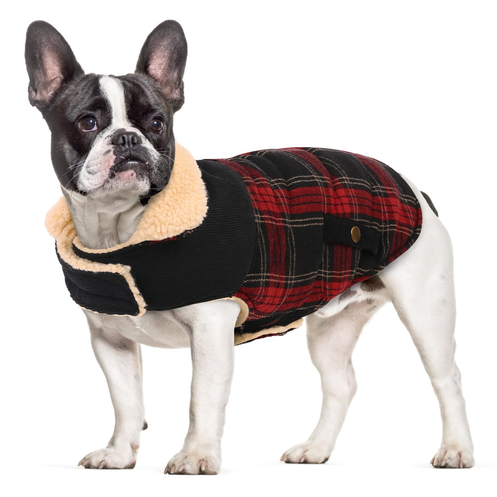 CITÉTOILE Cappotto Invernale per Cani in Lana Spessa Rosso XL | Cappottino Antivento e Morbido. Chiusura a Velcro, Traspirante, Lavabile. Ideale per Cani di Piccola e Media Taglia