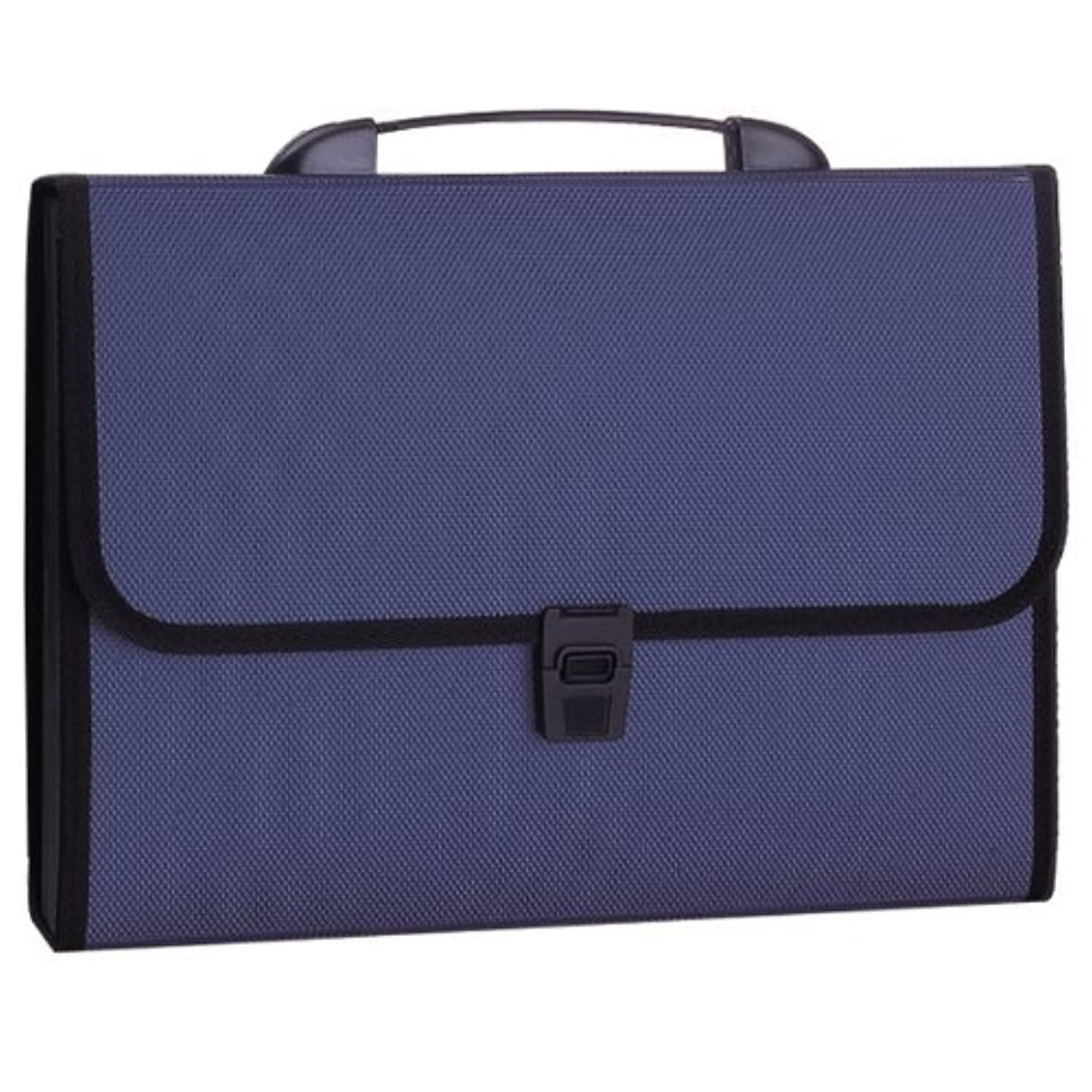 Deli E5556 A4 13 Pocket Expanding File Folder, Assorted