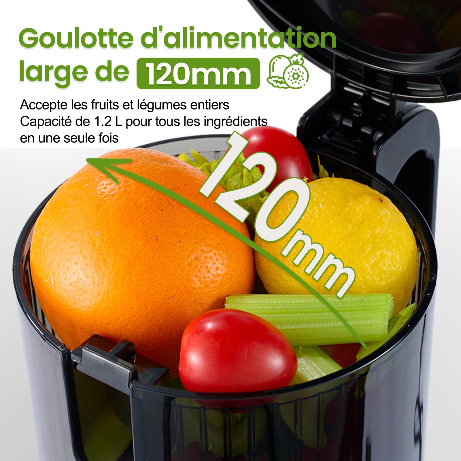 Ventray Extracteur de Jus Lent Presse à Froid 250W Grande Goulotte 120mm Double Filtration Sans BPA Ivoire