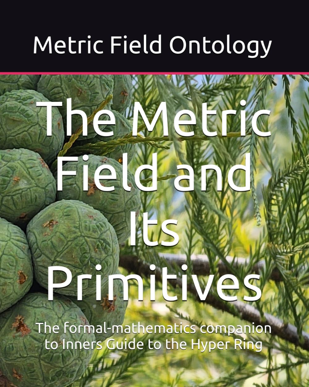 The Metric Field and Its Primitives: The formal-mathematics companion to Inners Guide to the Hyper Ring (Metric Field Ontology)