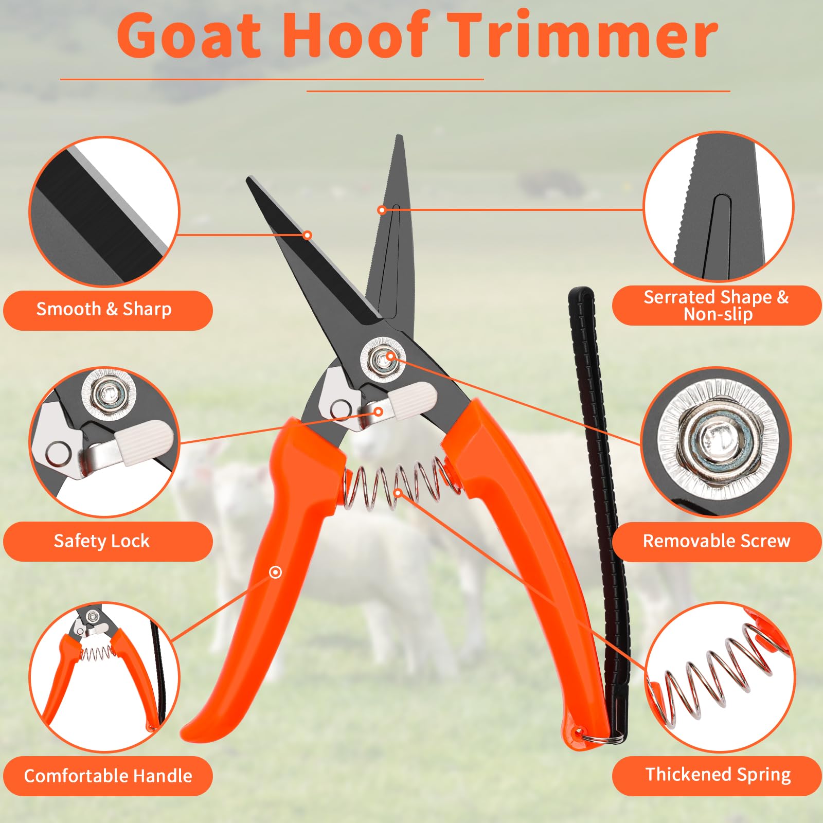 Goat Hoof Trimmer Kit - Sheep & Goat Hoof File -3 Goat Hoof Trimmer Kit - Sheep & Goat Hoof File -3