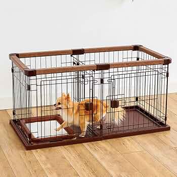 71RkO268gtL._AC_UF350,