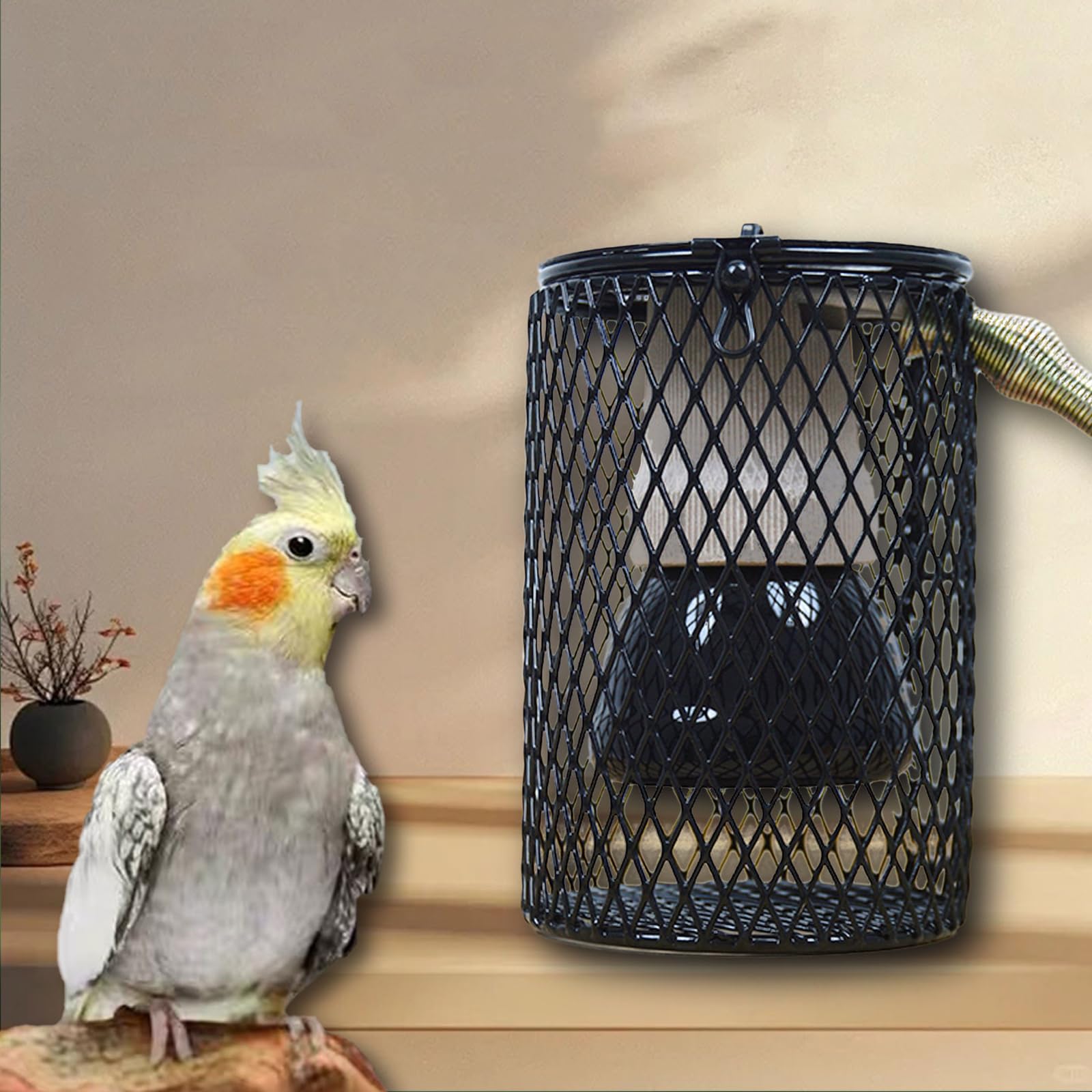 Lampa grzewcza dla papug, bezświetlne, ceramiczne światło cieplne, osłona klosza klatki siatkowej, lampa 75 W + klosz + sprężyna zapobiegająca żuciu, do żółwia, węży, jaszczurek, żab, piskląt