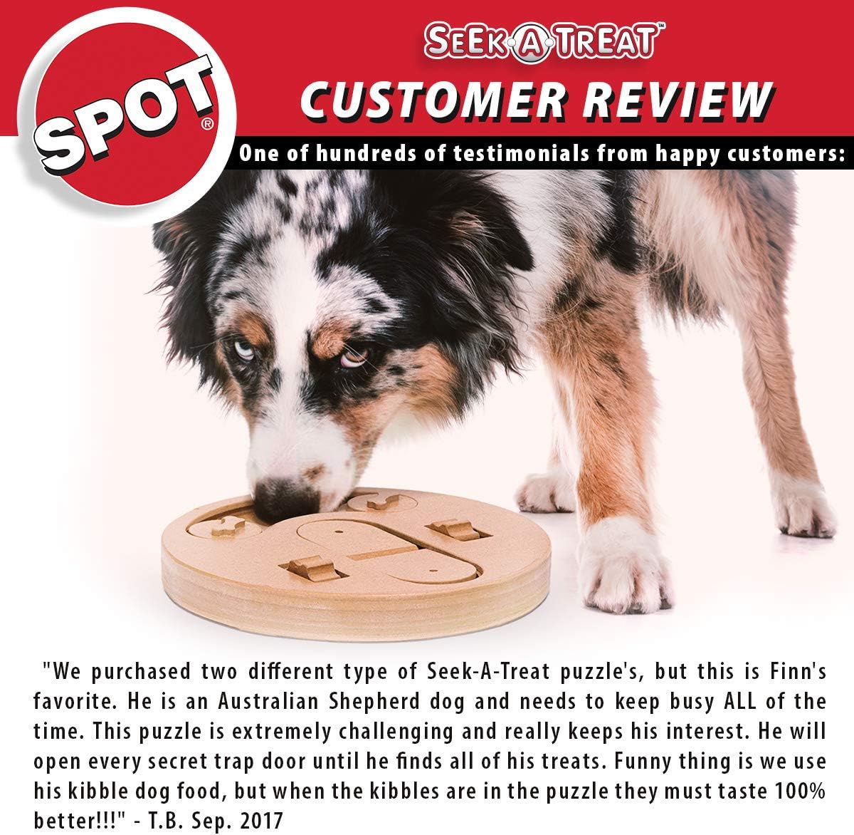 Ethical Pet Interactive Seek-A-Treat Flip 'N Flap Bone Dog Toy Puzzle That Will Improve Your Dog's IQ. Specially Designed for Dog Training Treats., Multicolor; 1.65 pounds (5652)