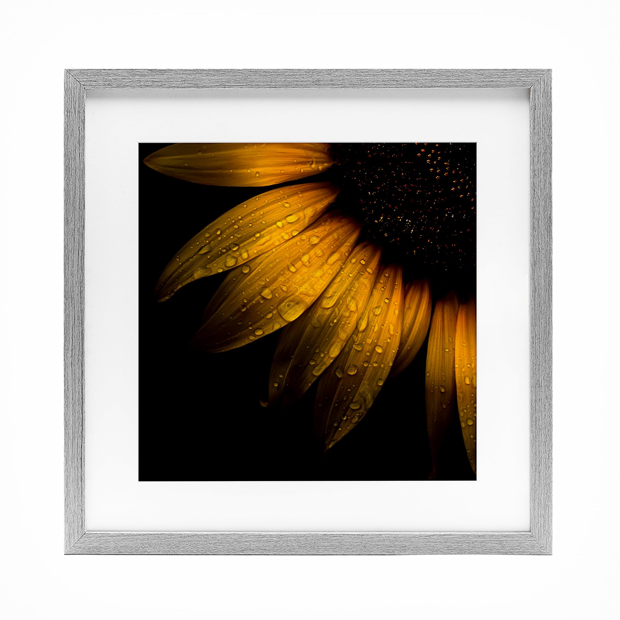 Impression de tournesol sous verre Stupell Industries pour une décoration de salon lumineuse