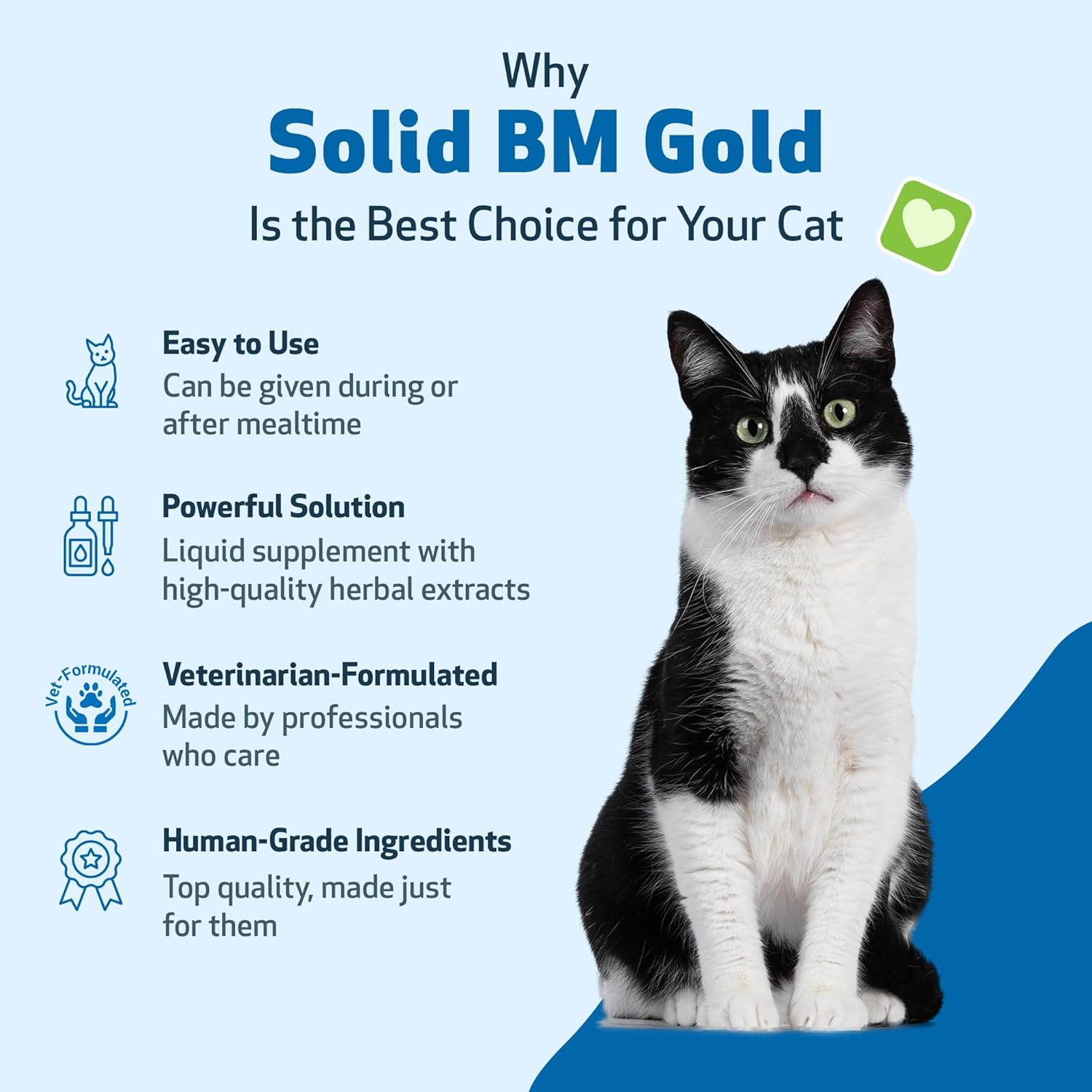 Pet Wellbeing Solid BM Gold for Cats - Supports Healthy Digestive Function, Solid Stools, Bayberry, Oregon Grape - Veterinarian-Formulated Herbal Supplement 4 oz (118 ml) (4 fl oz (118 ml))
