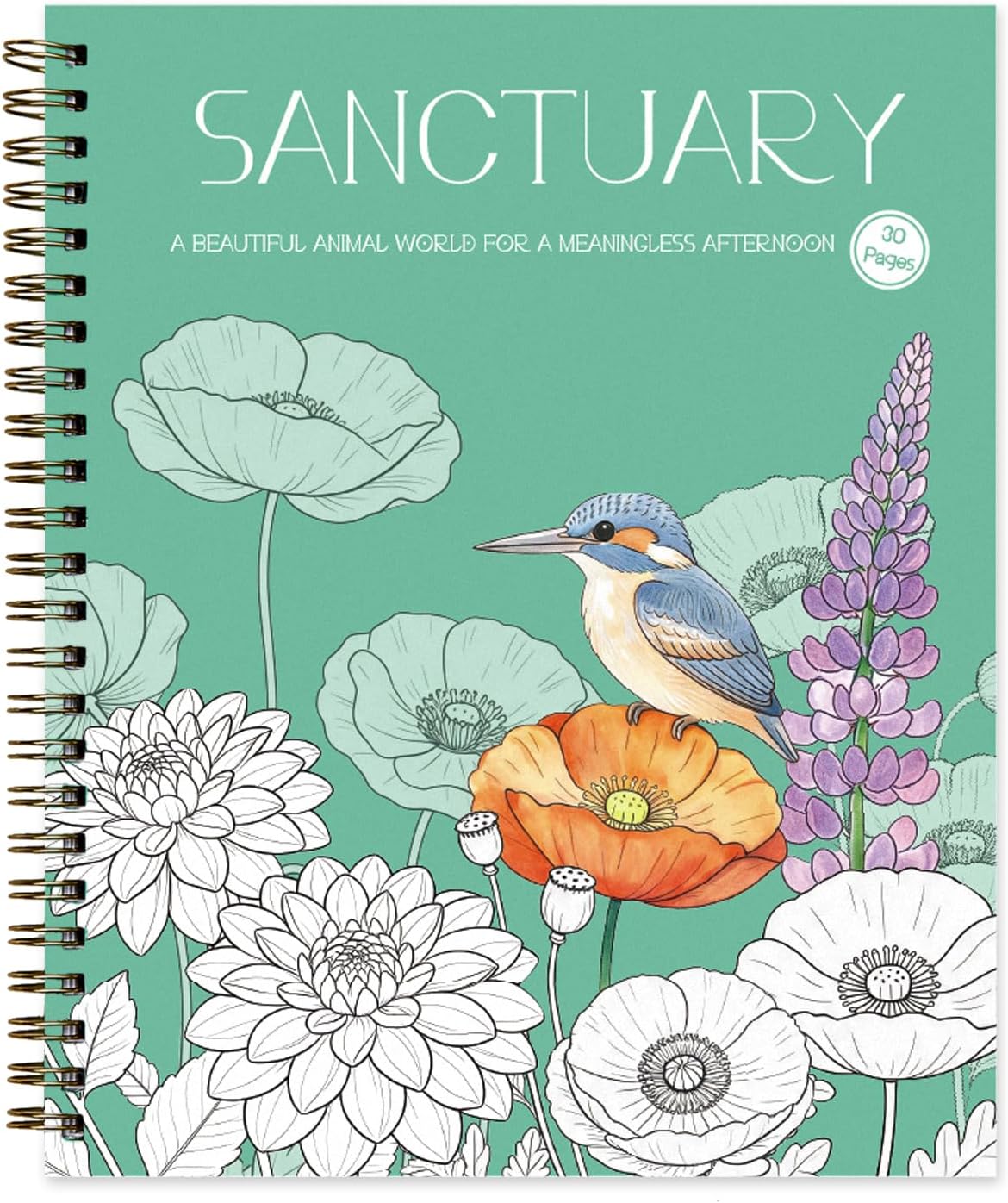 Sarcastic Funny Coloring Books for Adults, Spiral Bound Stress Relief Gift