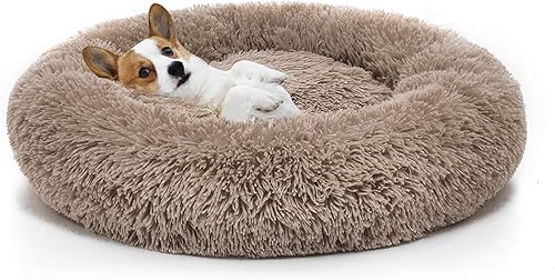 MIXJOY - Cama ortopédica para mascotas cómoda cama redonda para perros y gatos ultrasuave lavable 23 x 23pulgadas marrón MIXJOY - Cama ortopédica para mascotas cómoda cama redonda para perros y gatos ultrasuave lavable 23 x 23pulgadas marrón