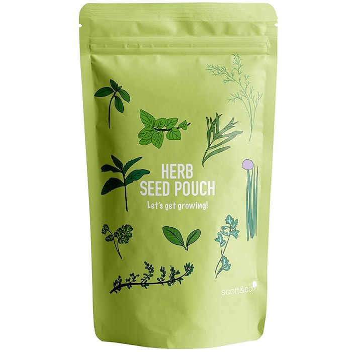 Buy Scott&Co Herb Seed Variety Pack UK High Germination Indoor and