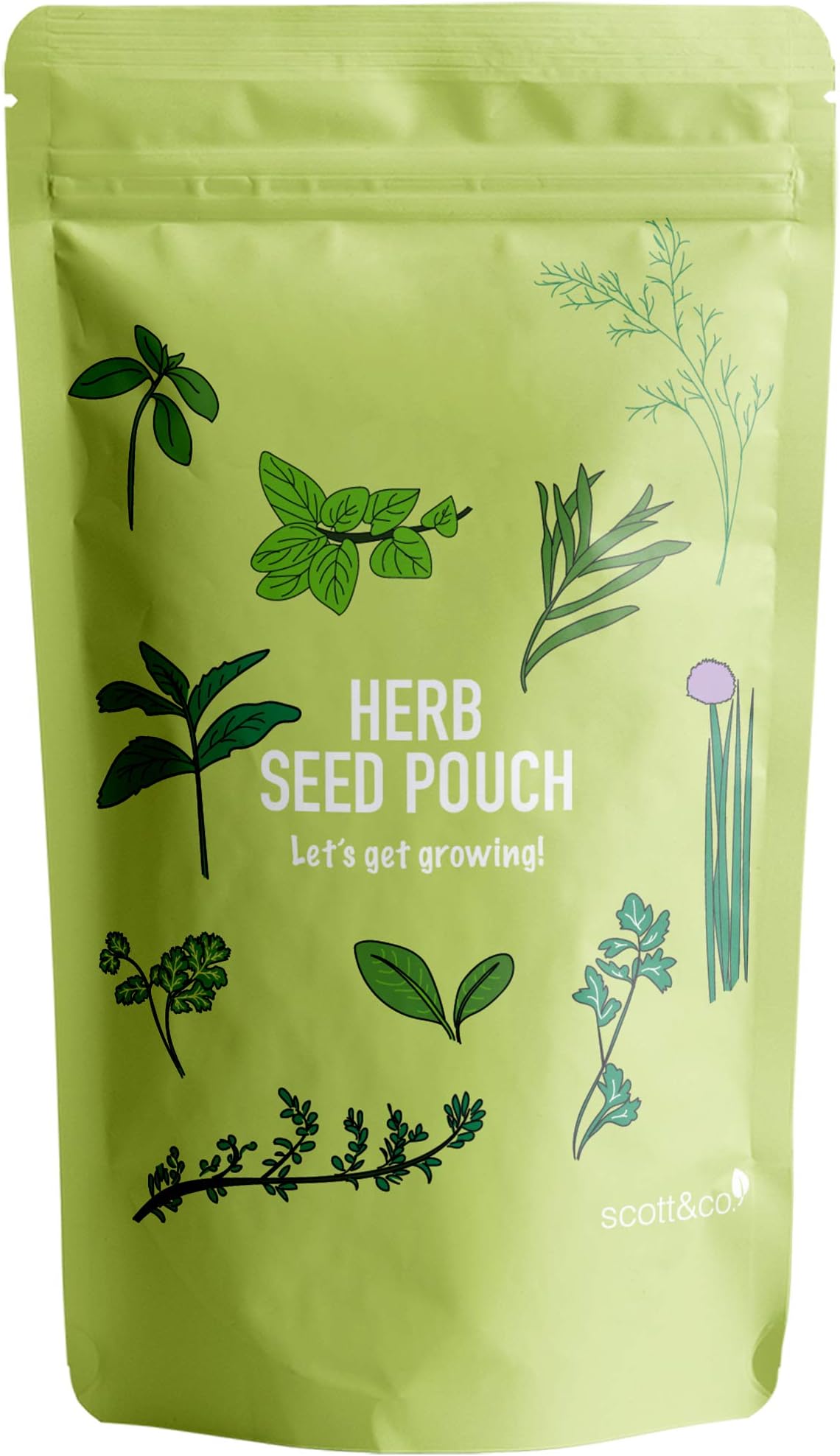Scott&Co. Herb Seed Variety Pack, UK Planting, Basil, Chives, Parsley, Coriander, Thyme, Peppermint, Oregano, Sorrel, Tarragon, Dill Herb Seeds, Gardening Gifts for Women and Men