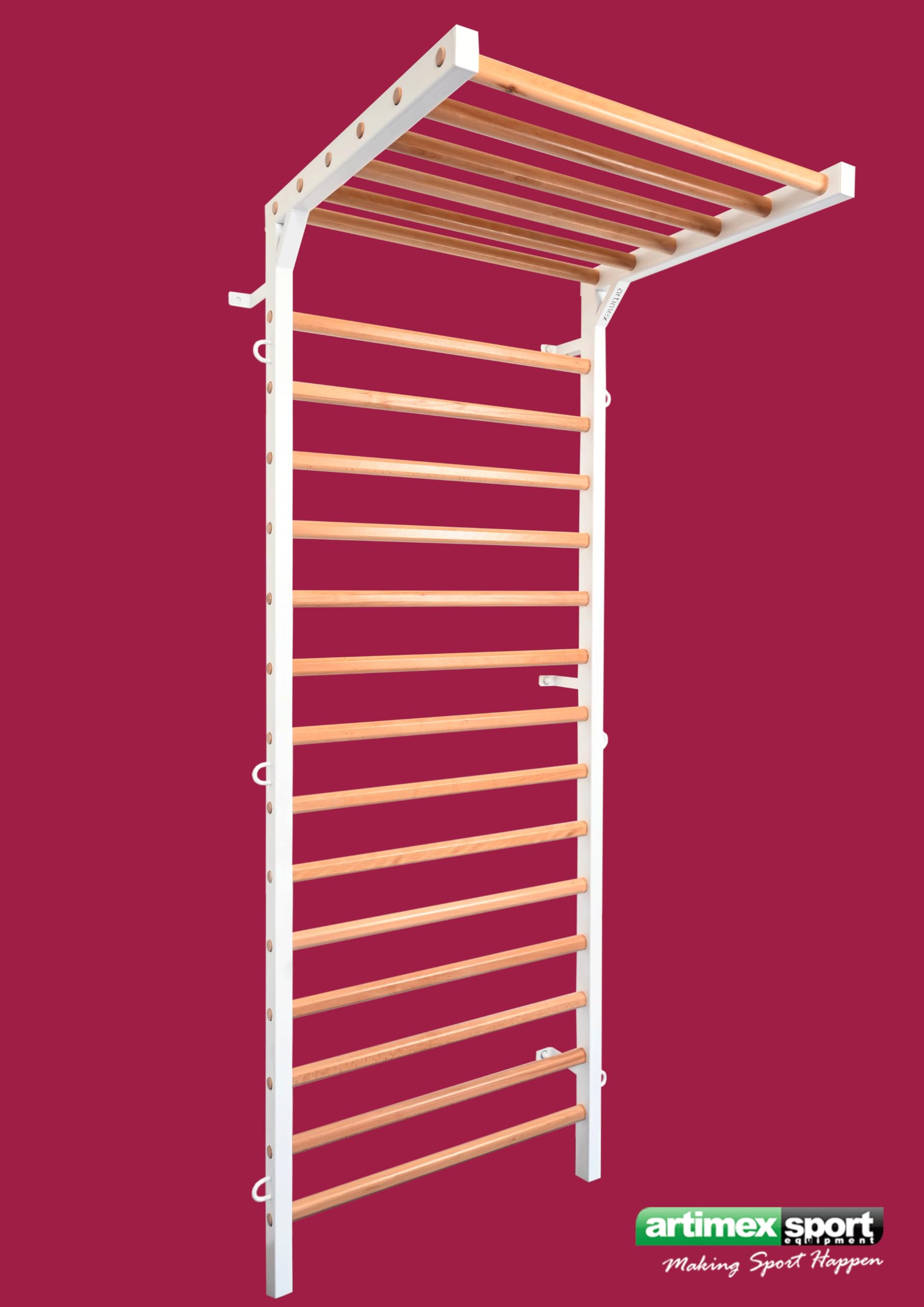 ARTIMEX spalliera in Metallo/Legno per Terapia Fisica e Ginnastica - utilizzato in Case, palestre, cliniche e Centri Fitness - 240x90 cm, Modello Spartan, codice 277
