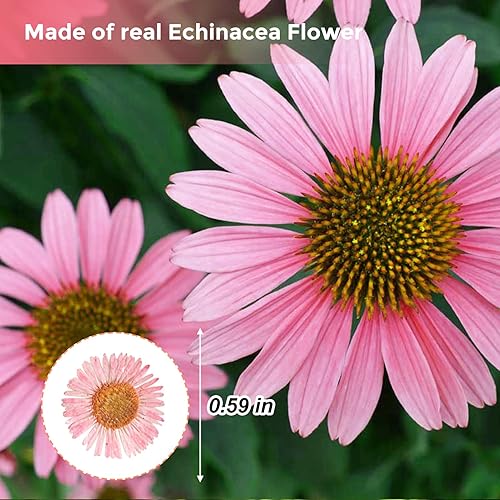 Miniatura 2 de 60 flores rosadas secadas vestidas para decoración de resina, flores secas naturales, aguja crisantemo para lámpara de escritorio, manualidades,