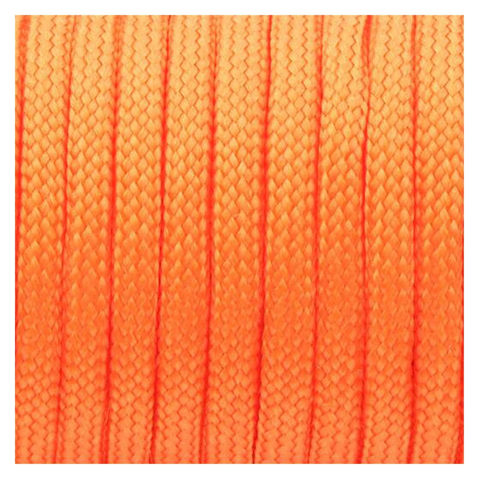 corda da arrampicata 250 colori Paracord 4mm 100 metri bobine 7 fili corda cordone paracadute arrampicata all'aperto sopravvivenza paracord 550 (Color : 9)