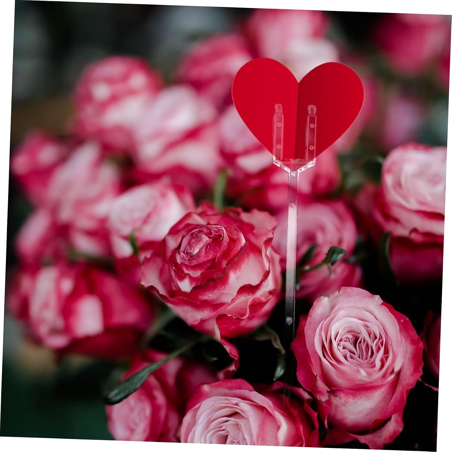 VOSAREA 80pcs Floral Plastic Picks for Card Display Trident Picks for Bouquet Arrangement for Weddings Parties and Events