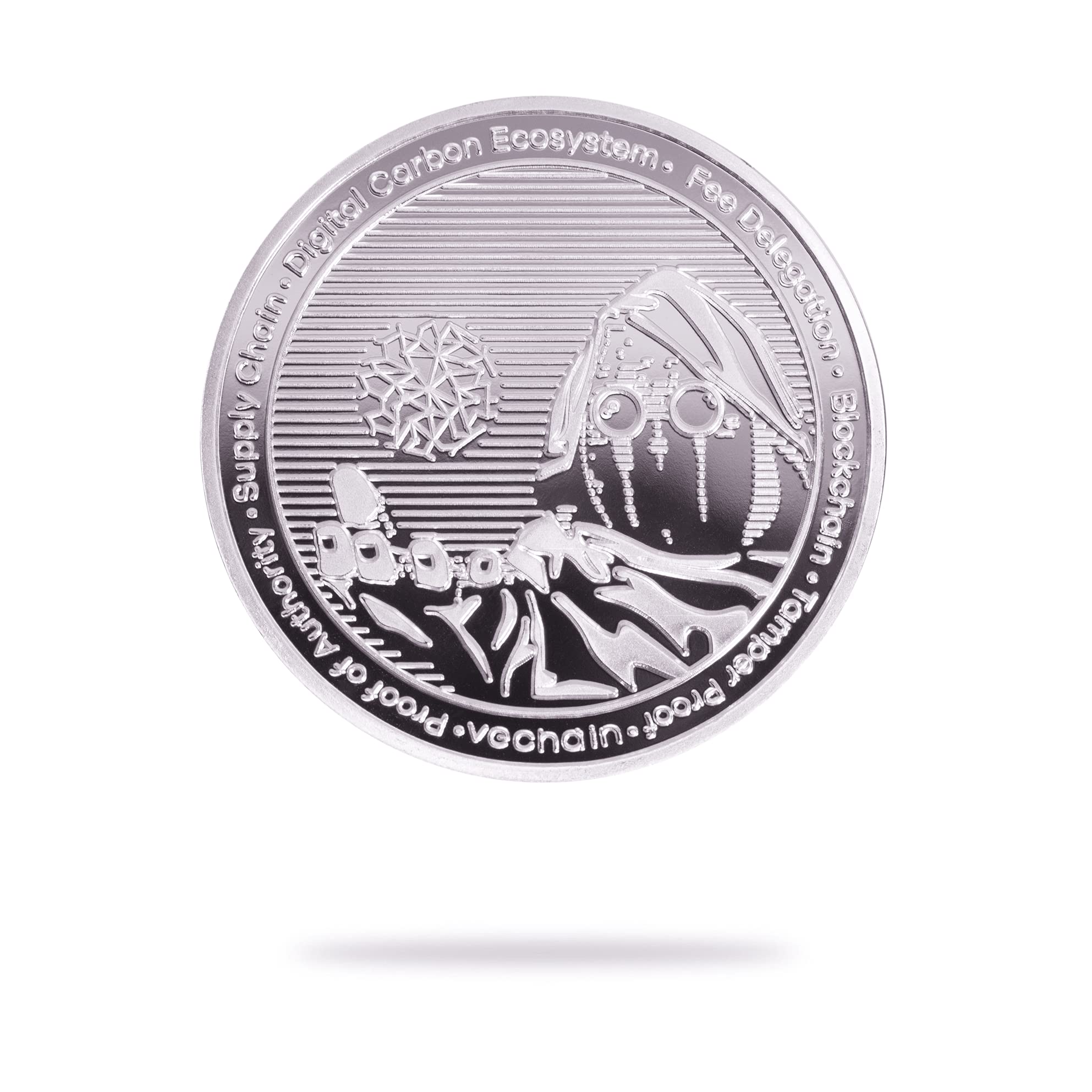 Amazon.com: Cryptochips | VeChain (Vet)實體加密貨幣| 紀念加密貨幣您可以保留: 玩具和遊戲