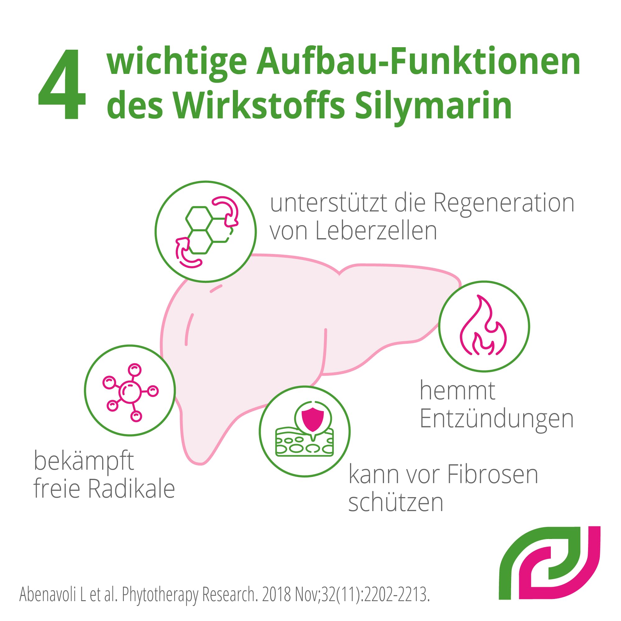 forte Madaus 180 Hartkapseln - Mariendiestel Kapseln, hilft die Leber zu entgiften, pflanzliches Arzneimittel, unterstützt die natürliche Leberfunktion - mit 140mg Silymarin