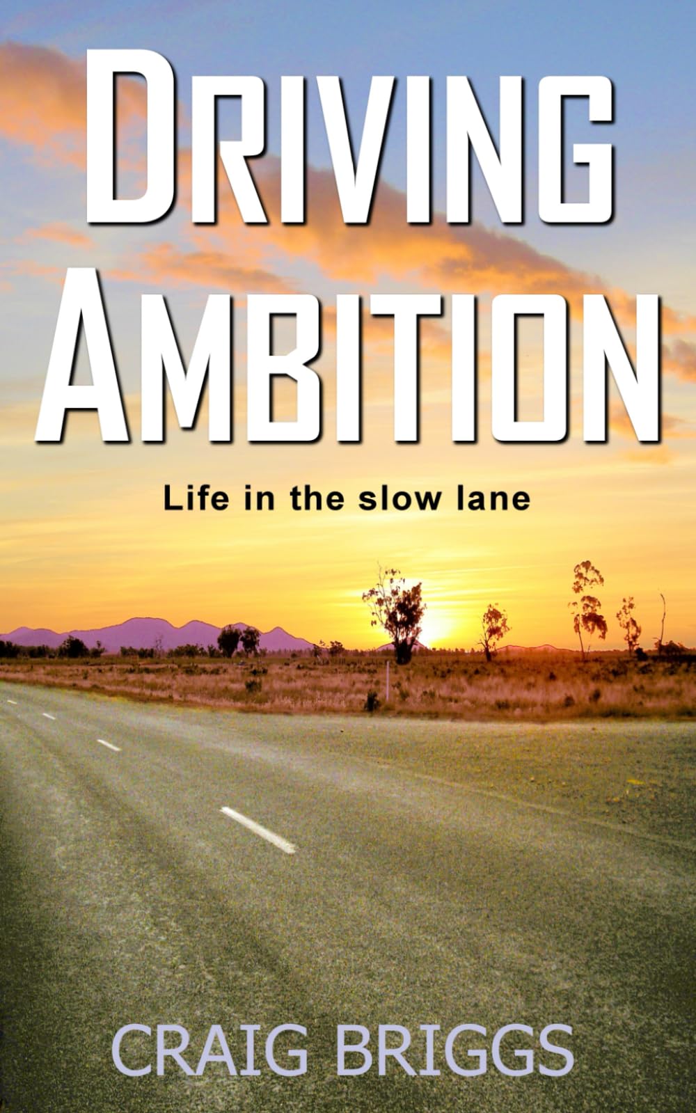 Driving Ambition: Life in the slow lane: 5 (The Journey)
