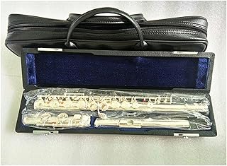 Flute Professional Cupronickel C Key 16 Hole Silver Plated Instrument With Case flute instrument (Color : Hard box)