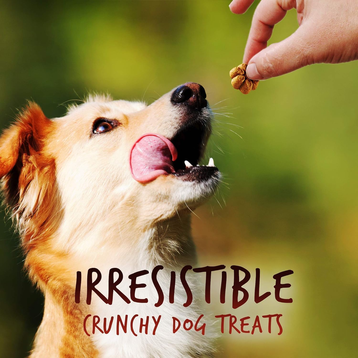 Fruitables Skinny Mini Dog Treats (3 Cal) – Healthy, Low-Calorie Soft Dog Treats – Apple Bacon Flavor, 12 oz (4 Pack)