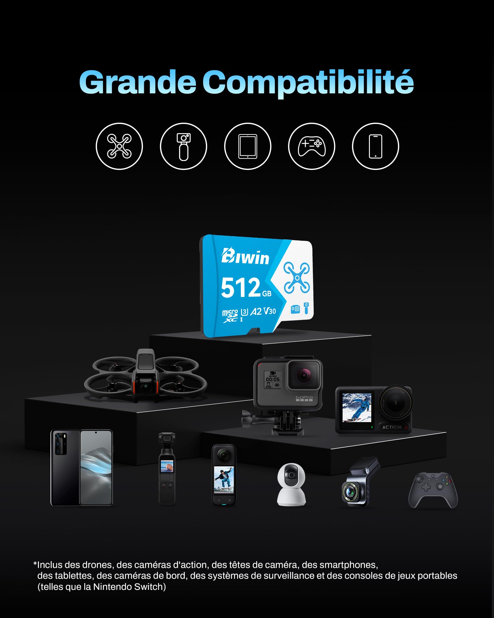Biwin MS160 Carte Micro SD 512 Go, Carte Micro SDXC pour Nintendo Switch, UHS-I U3/V30 A2, jusqu'à 160 Mo/s, Carte mémoire Haute Vitesse pour NS Gaming/GoPro/Dash Cam/Action Camera