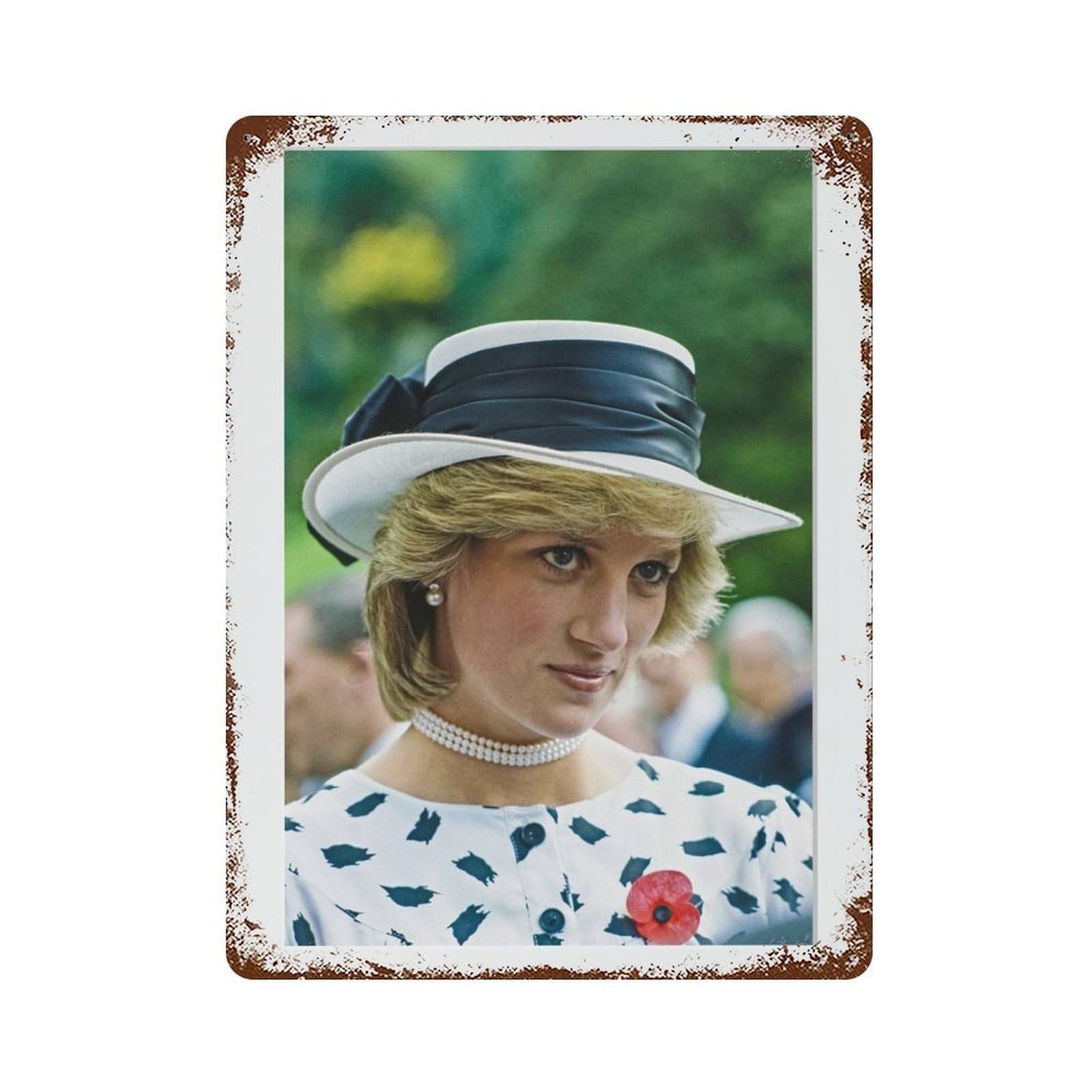 xiaoxiaoshen Lady Diana, Photography S6 Wall Decor Art Metal Tin Poster Modern Home Decor Art Home Bar Shop Decorations Vintage Sign 40x30cm
