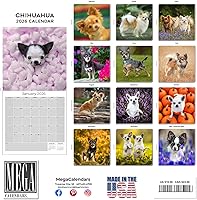 Vista 798 de Razas de Perros 2017