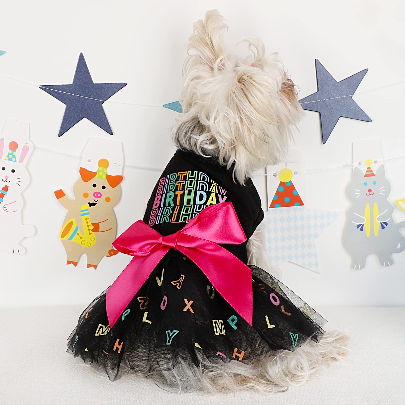 Snapklik.com : Dog Birthday Outfit Dog Clothes For Small Medium Dogs ...