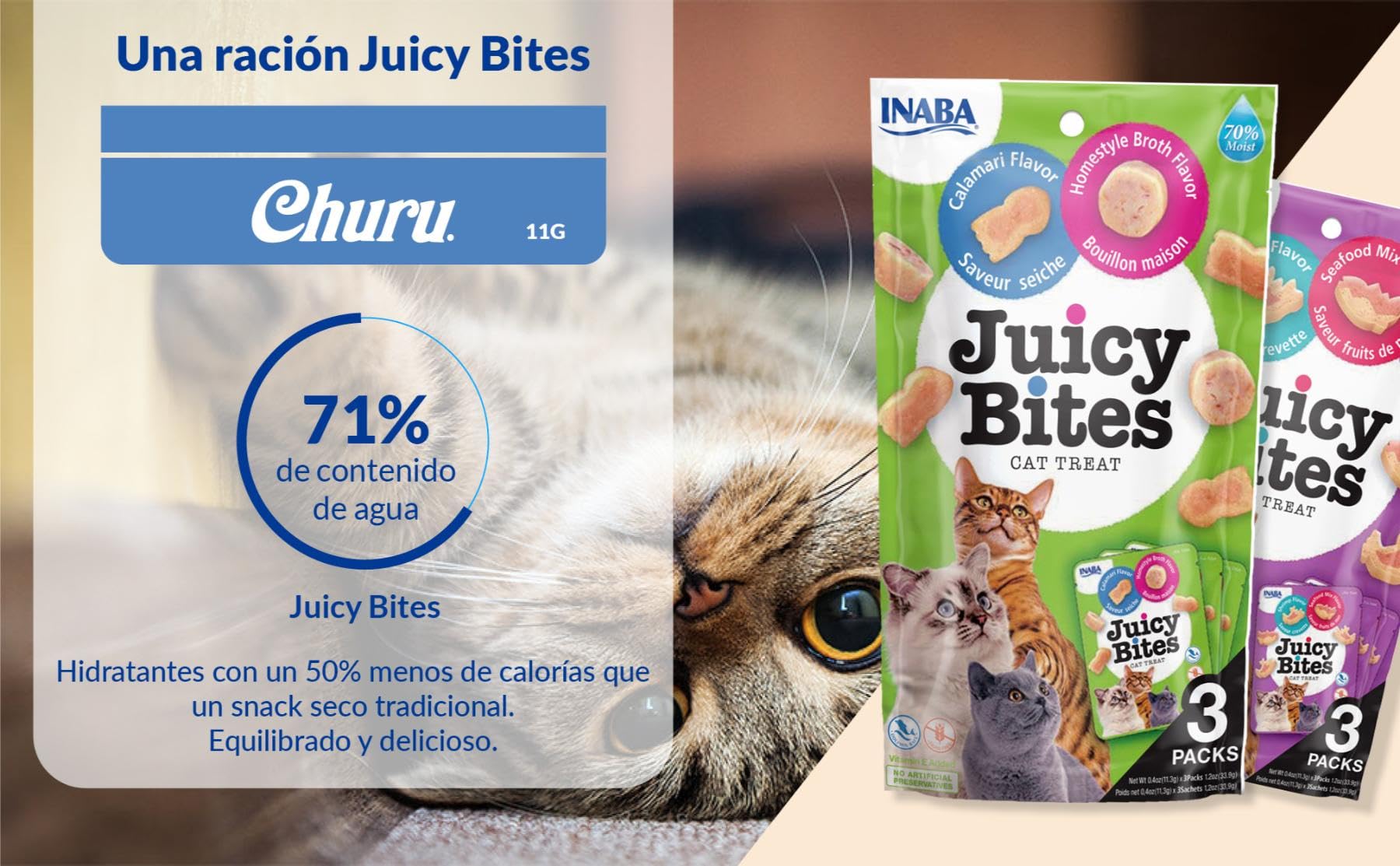 INABA Juicy Bites Gatos - Recetas Saludables de Calamar y de Caldo Casero - Snacks Húmedos para Mascotas - Deliciosas Golosinas - Sin Cereales, Sin Conservantes ni Colorantes - 203,4g (18x11,3g)
