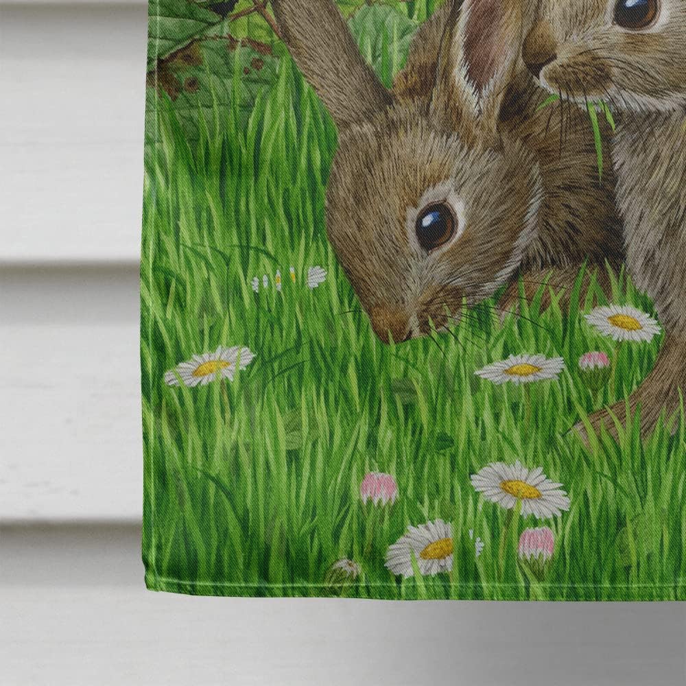 Caroline's Treasures ASA2023CHF Leveret Bunny Rabbit House Flag Large Porch Sleeve Pole Decorative Outside Yard Banner Artwork Wall Hanging, Polyester, House Size, Multicolor