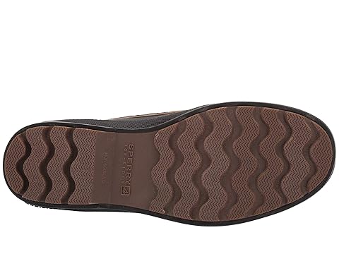 sperry men's cold bay chukka