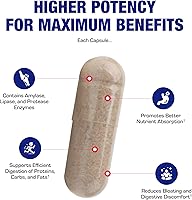 Vista 5 de Suplemento de enzimas multidigestivas a base de plantas, suplemento de digestión clínicamente formulado con hierbas calmantes y enzimas para mujeres