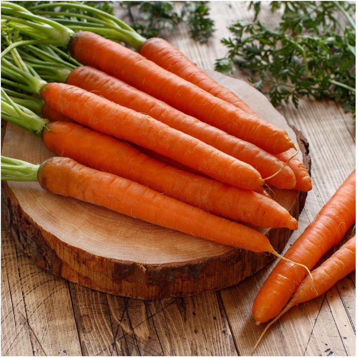 Everwilde Farms - 1 Lb Tendersweet Carrot Seeds - Gold Vault