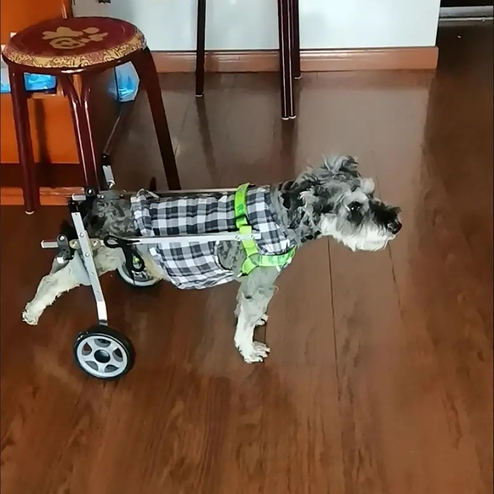 犬用車椅子３月２１日にAmazonより購入 Amazon | Bonarca 犬 歩行器 後ろ足 犬用車椅子 【選べる2タイプ/3