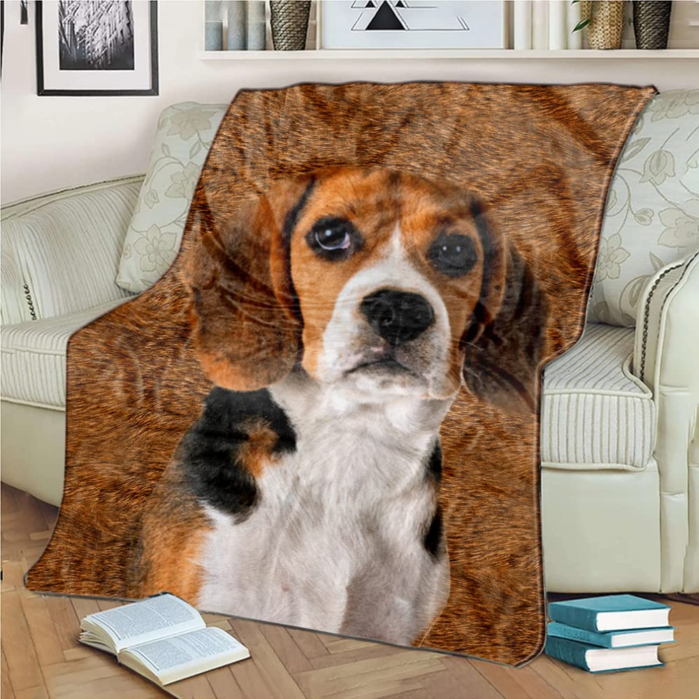 Couverture personnalisée pour canapé et salon chaleureux avec votre chiot
