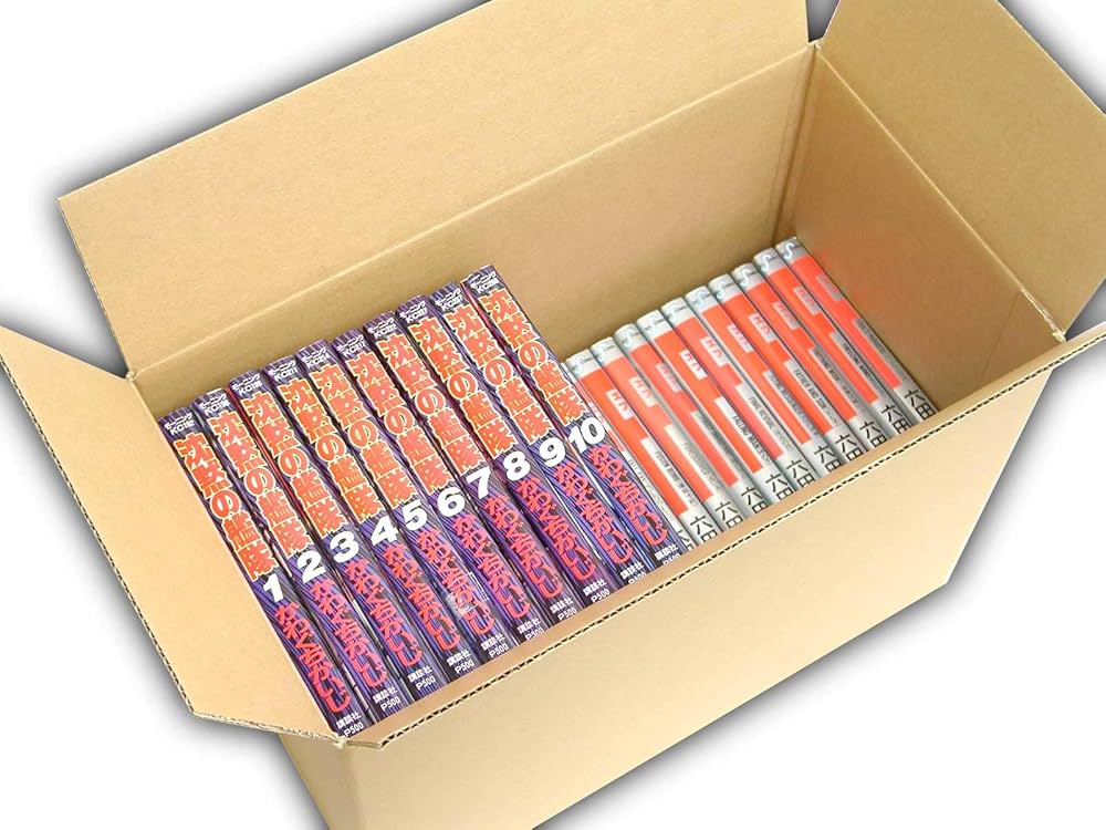 Amazon.co.jp: VillageBox ダンボール 90サイズ 宅配100 青年