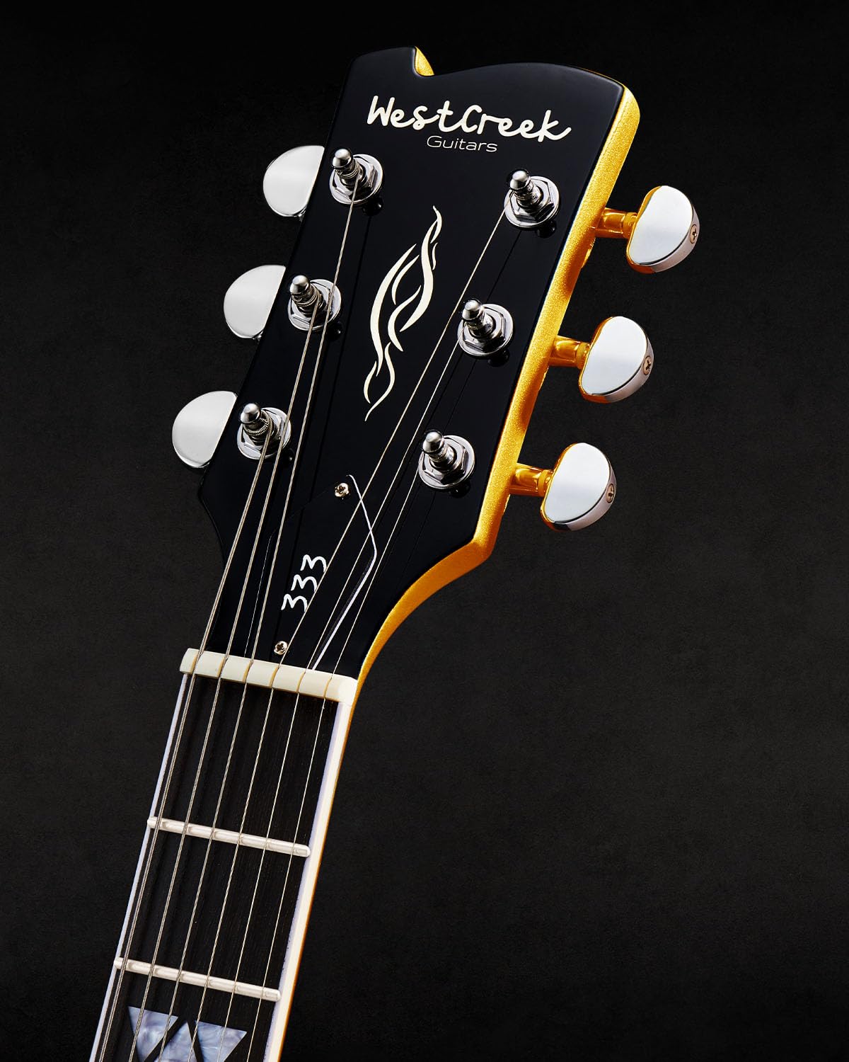 Amazon.com: WestCreek 333 Electric Guitar with 6 String, Semi
