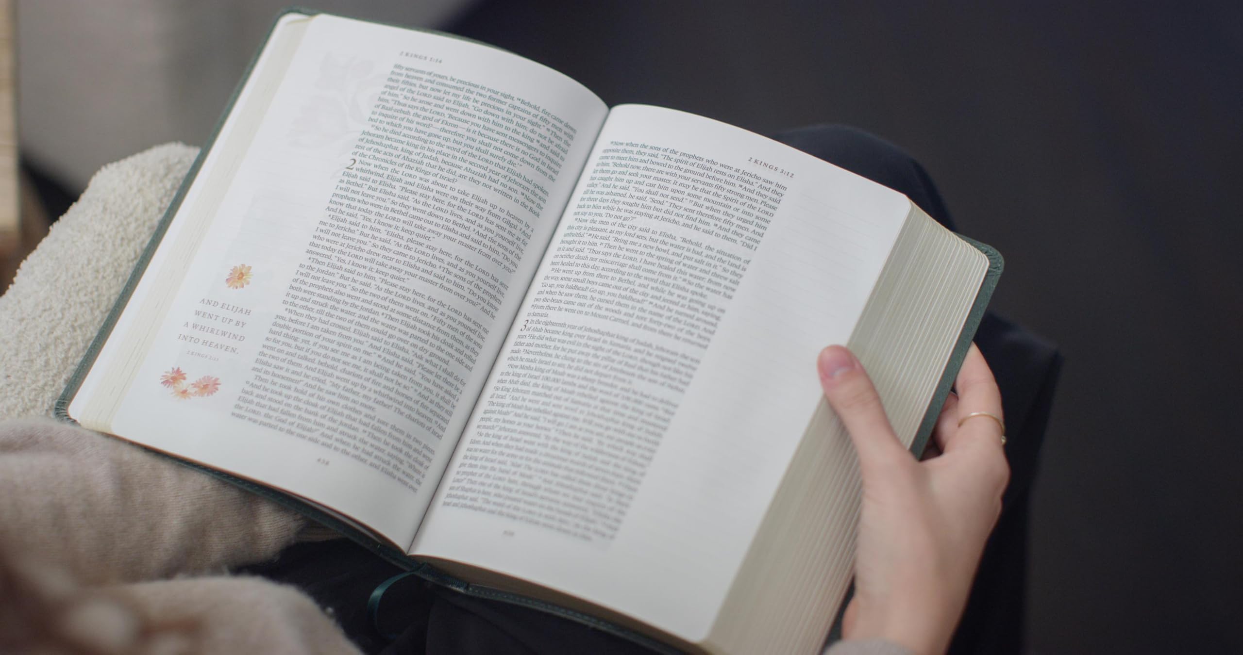 ESV GraceLaced Bible, Journaling Edition (TruTone, Quiet Forest)