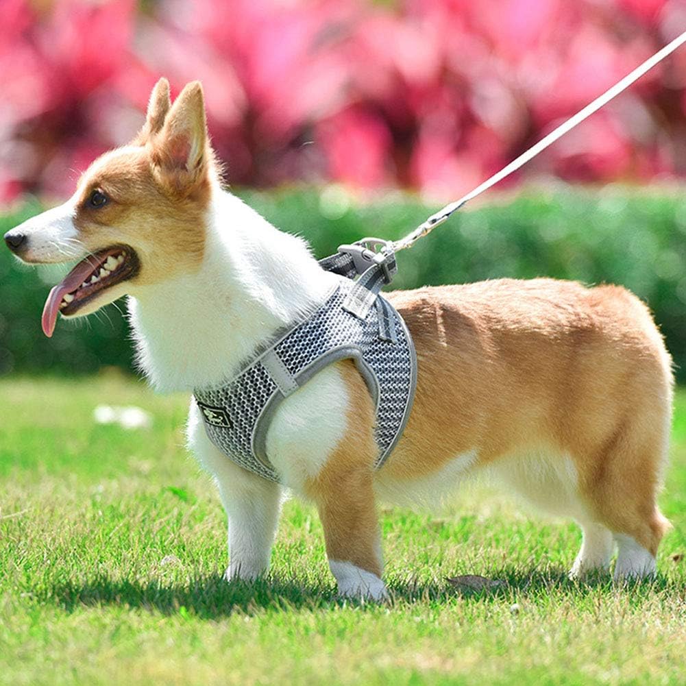 GHTMONY Dog Harness with Leash Set, Step-in Adjustable Anti-Slip Breathable Vest Harness with Leash Set for Small, Medium Dog Cat Outdoor Activity Accesories (S, Gray)