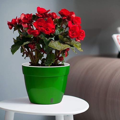 Asti - Macetero de autorriego