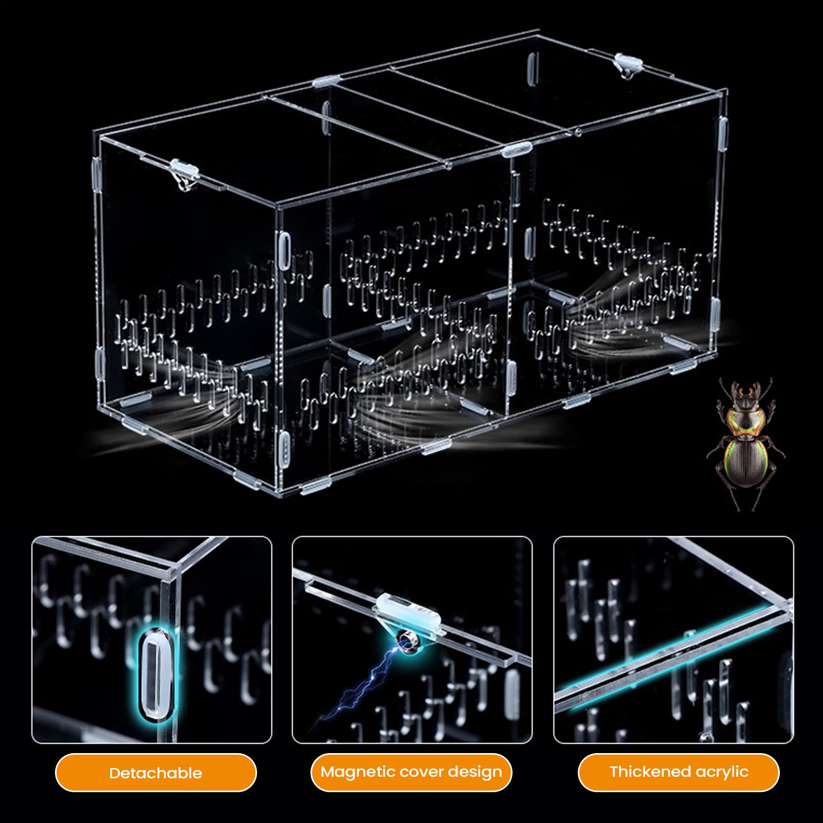 Terrarium Dla Skaczących Pająków Przezroczyste Akrylowe Terrarium
