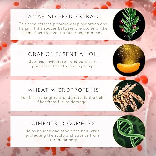 Miniatura 3 de René Furterer TONUCIA Champú Replumping - Para cabello fino y debilitado debido al envejecimiento - Redensifica y revitaliza - Sin silicona - Tamaño