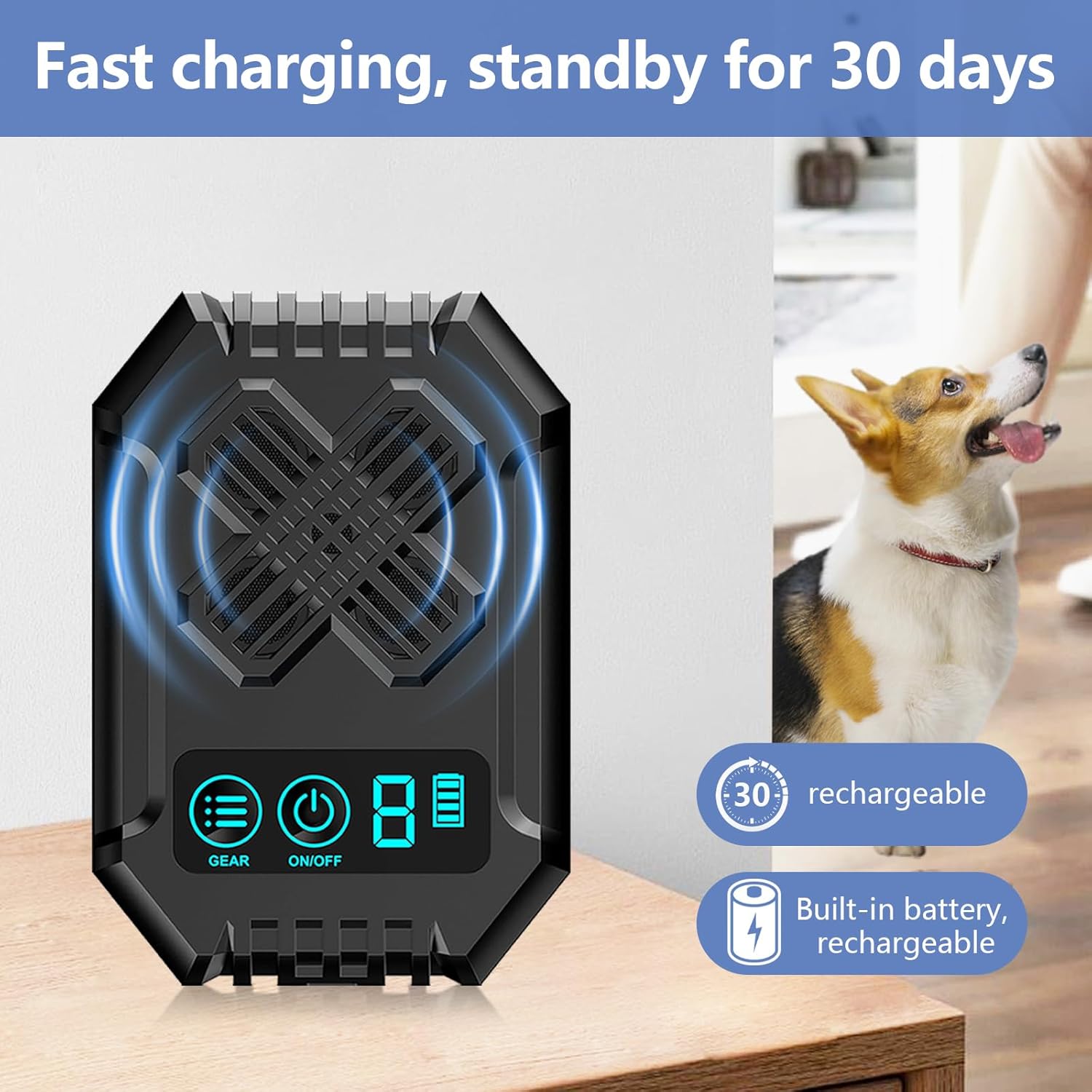 https://m.media-amazon.com/images/I/71RlLtTAvOL._AC_SL1500_.jpg