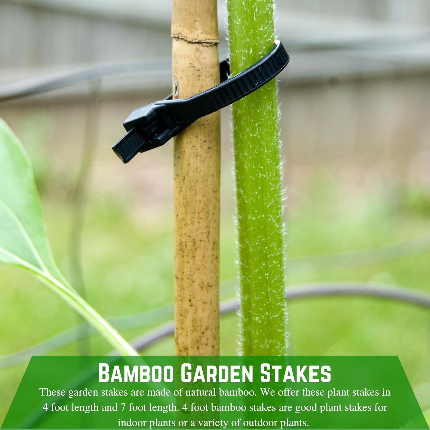 Farm Plastic Supply - Bamboo Garden Stakes - Bambo Sticks, Bamboo Plant Stakes for Outdoor Plants, Plant Support Stakes for Indoor Plants (4 Foot - 5 Pack)